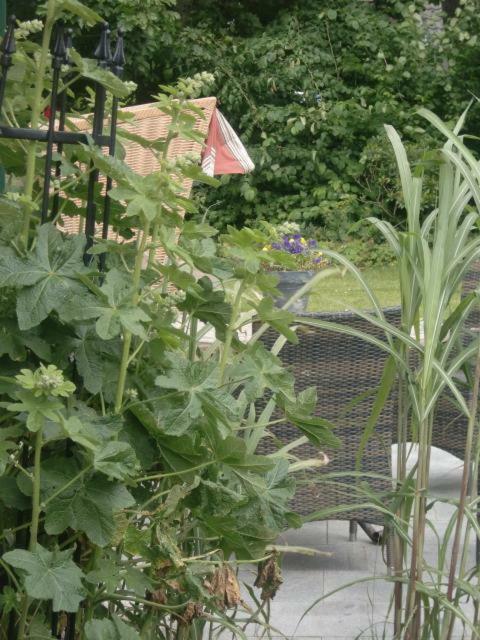 סנט פטר-אורדינג Ferienhaus Von Ahrentschildt-Pestalozzistrasse 29 מראה חיצוני תמונה